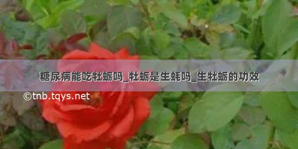 糖尿病能吃牡蛎吗_牡蛎是生蚝吗_生牡蛎的功效