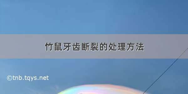 竹鼠牙齿断裂的处理方法