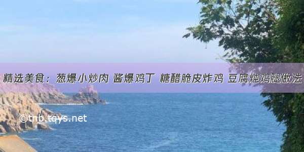 精选美食：葱爆小炒肉 酱爆鸡丁 糖醋脆皮炸鸡 豆腐炖鸡腿做法