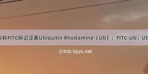 荧光染料FITC标记泛素Ubiquitin Rhodamine（Ub）；FITC-Ub；Ub-FITC