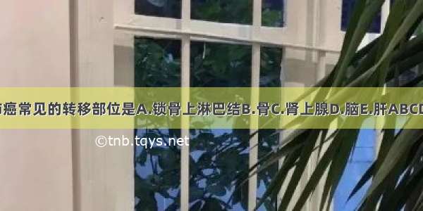 肺癌常见的转移部位是A.锁骨上淋巴结B.骨C.肾上腺D.脑E.肝ABCDE