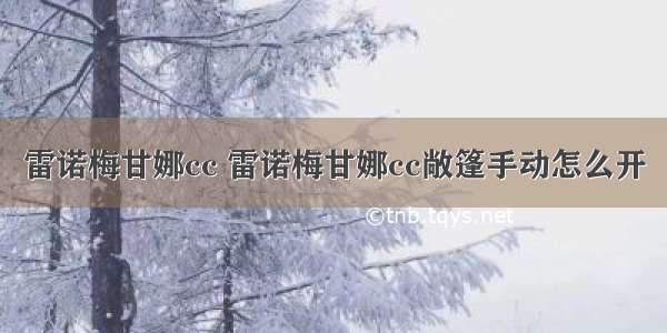 雷诺梅甘娜cc 雷诺梅甘娜cc敞篷手动怎么开