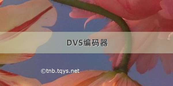 DVS编码器