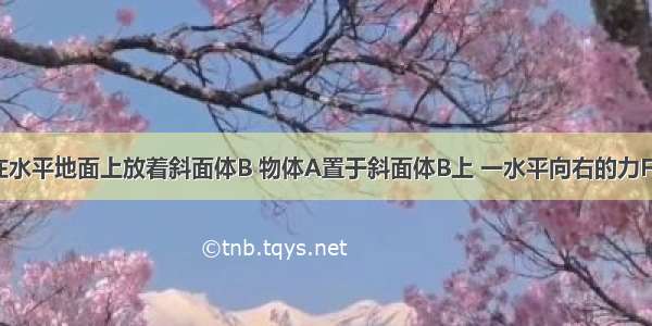 如图所示 在水平地面上放着斜面体B 物体A置于斜面体B上 一水平向右的力F作用于物体