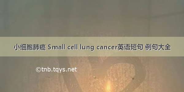 小细胞肺癌 Small cell lung cancer英语短句 例句大全