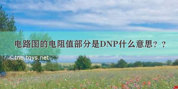 电路图的电阻值部分是DNP什么意思？？