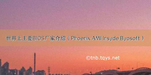 世界上主要BIOS厂家介绍（Phoenix AMI Insyde Byosoft）