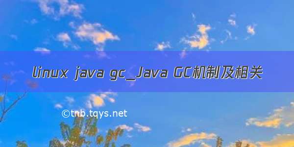 linux java gc_Java GC机制及相关