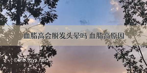 血脂高会脱发头晕吗 血脂高原因