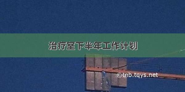 治疗室下半年工作计划