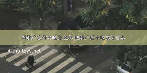 母猪产完仔不吃怎么办 母猪产后不吃该怎么办