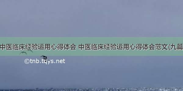 中医临床经验运用心得体会 中医临床经验运用心得体会范文(九篇)