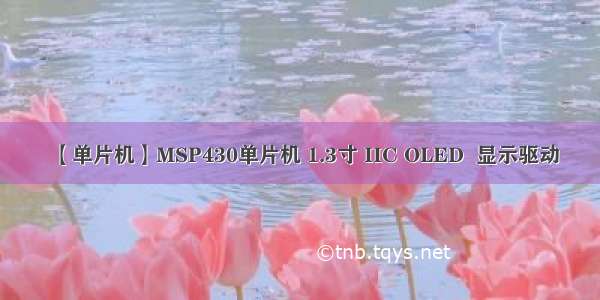 【单片机】MSP430单片机 1.3寸 IIC OLED  显示驱动