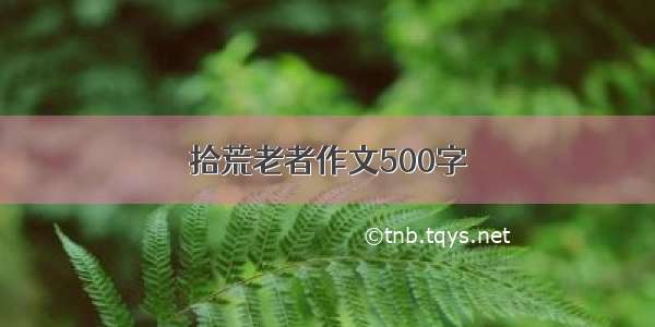 拾荒老者作文500字