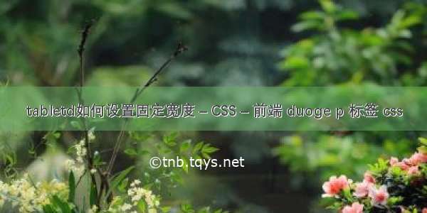 tabletd如何设置固定宽度 – CSS – 前端 duoge p 标签 css