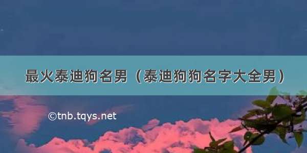 最火泰迪狗名男（泰迪狗狗名字大全男）