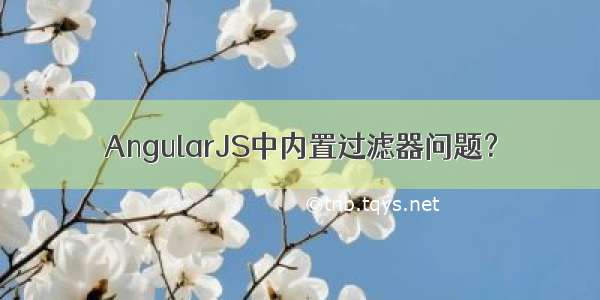 AngularJS中内置过滤器问题？