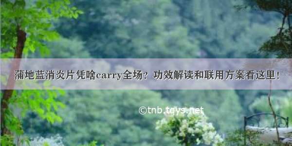 蒲地蓝消炎片凭啥carry全场？功效解读和联用方案看这里！