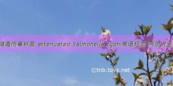 减毒伤寒杆菌 attenuated Salmonella typhi英语短句 例句大全