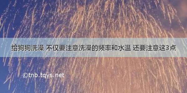 给狗狗洗澡 不仅要注意洗澡的频率和水温 还要注意这3点