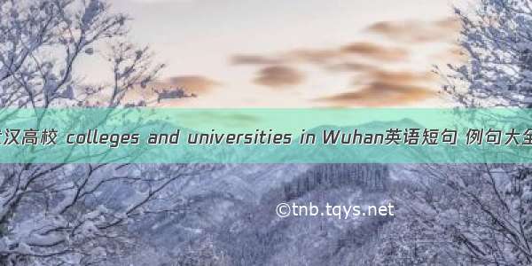 武汉高校 colleges and universities in Wuhan英语短句 例句大全