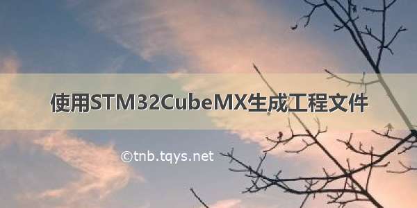 使用STM32CubeMX生成工程文件