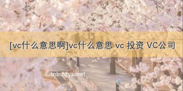 [vc什么意思啊]vc什么意思 vc 投资 VC公司