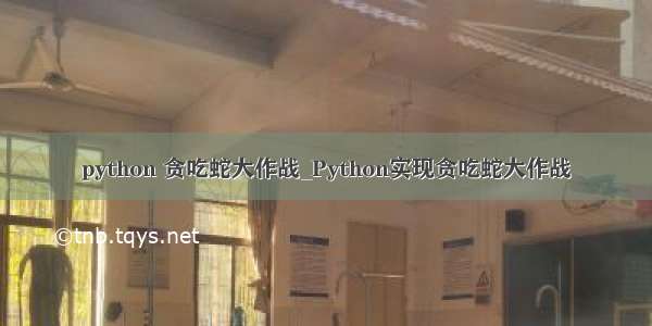 python 贪吃蛇大作战_Python实现贪吃蛇大作战