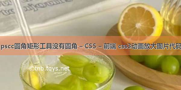 pscc圆角矩形工具没有圆角 – CSS – 前端 css3动画放大图片代码