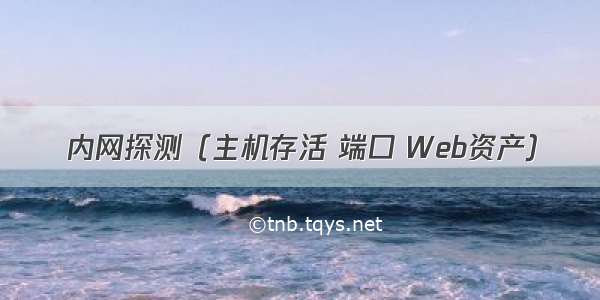 内网探测（主机存活 端口 Web资产）