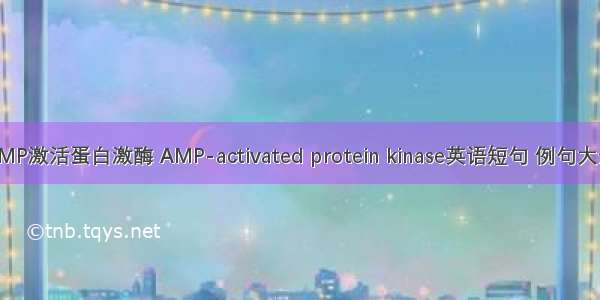 AMP激活蛋白激酶 AMP-activated protein kinase英语短句 例句大全