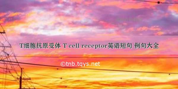 T细胞抗原受体 T cell receptor英语短句 例句大全