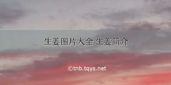 生姜图片大全 生姜简介