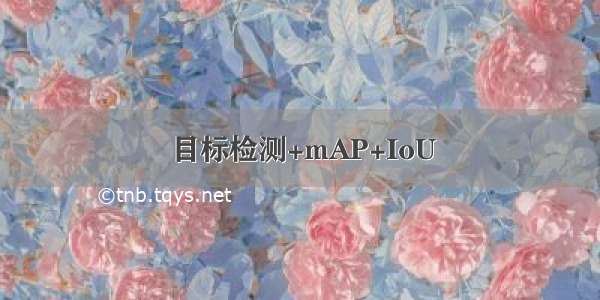 目标检测+mAP+IoU