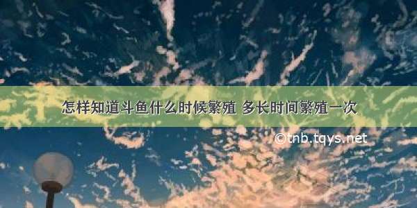 怎样知道斗鱼什么时候繁殖 多长时间繁殖一次