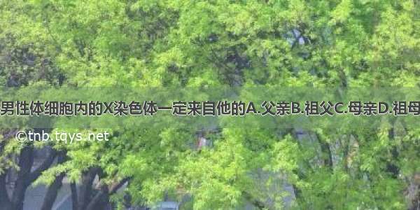 男性体细胞内的X染色体一定来自他的A.父亲B.祖父C.母亲D.祖母