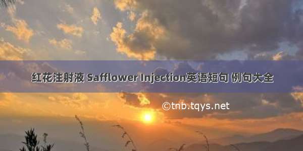 红花注射液 Safflower Injection英语短句 例句大全