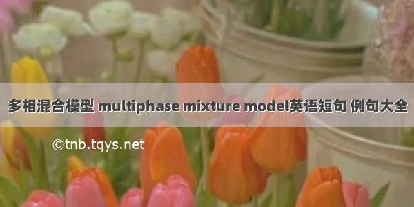 多相混合模型 multiphase mixture model英语短句 例句大全