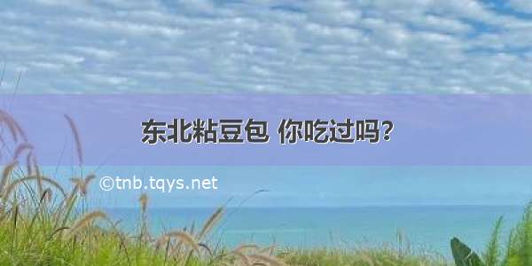 东北粘豆包 你吃过吗？