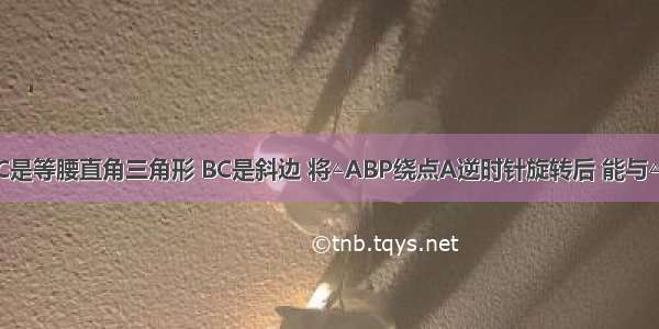 如图 △ABC是等腰直角三角形 BC是斜边 将△ABP绕点A逆时针旋转后 能与△ACD重合 