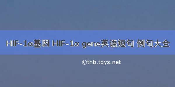 HIF-1α基因 HIF-1α gene英语短句 例句大全