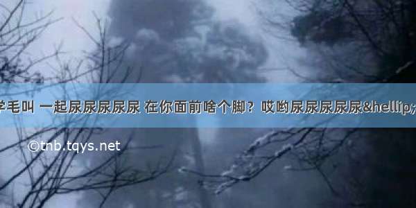 歌词“我们一起学毛叫 一起尿尿尿尿尿 在你面前啥个脚？哎哟尿尿尿尿尿……”好像挺