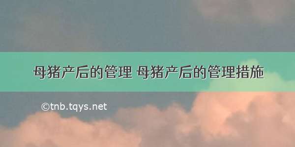 母猪产后的管理 母猪产后的管理措施