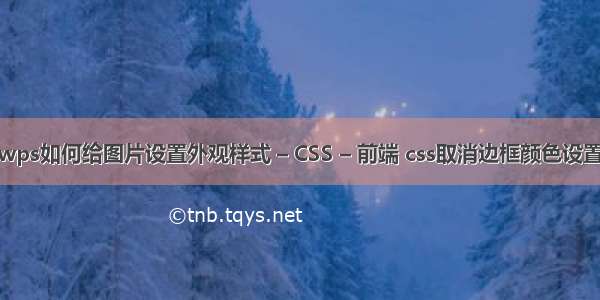 wps如何给图片设置外观样式 – CSS – 前端 css取消边框颜色设置