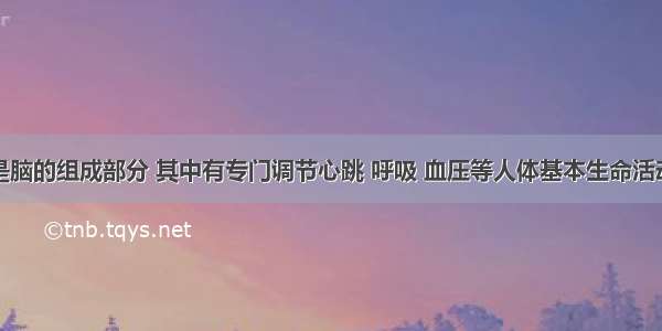 脑干也是脑的组成部分 其中有专门调节心跳 呼吸 血压等人体基本生命活动的部位