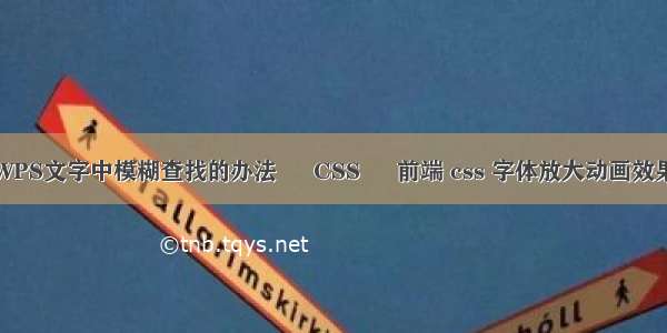 在WPS文字中模糊查找的办法 – CSS – 前端 css 字体放大动画效果吗