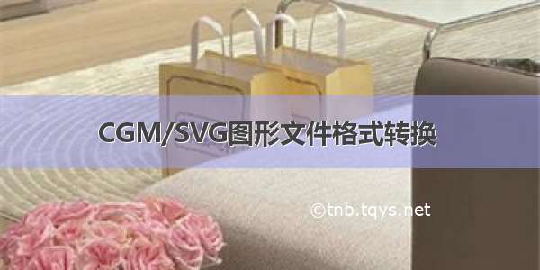 CGM/SVG图形文件格式转换 