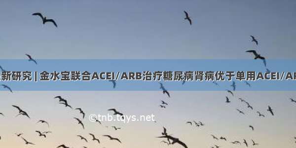 最新研究 | 金水宝联合ACEI/ARB治疗糖尿病肾病优于单用ACEI/ARB