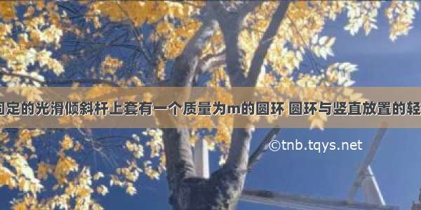 如图所示 固定的光滑倾斜杆上套有一个质量为m的圆环 圆环与竖直放置的轻质弹簧上端