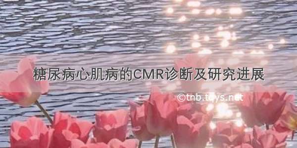 糖尿病心肌病的CMR诊断及研究进展